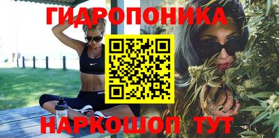 apvp Севастополь