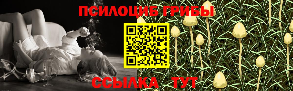 Псилоцибиновые грибы мухоморы Нефтекумск
