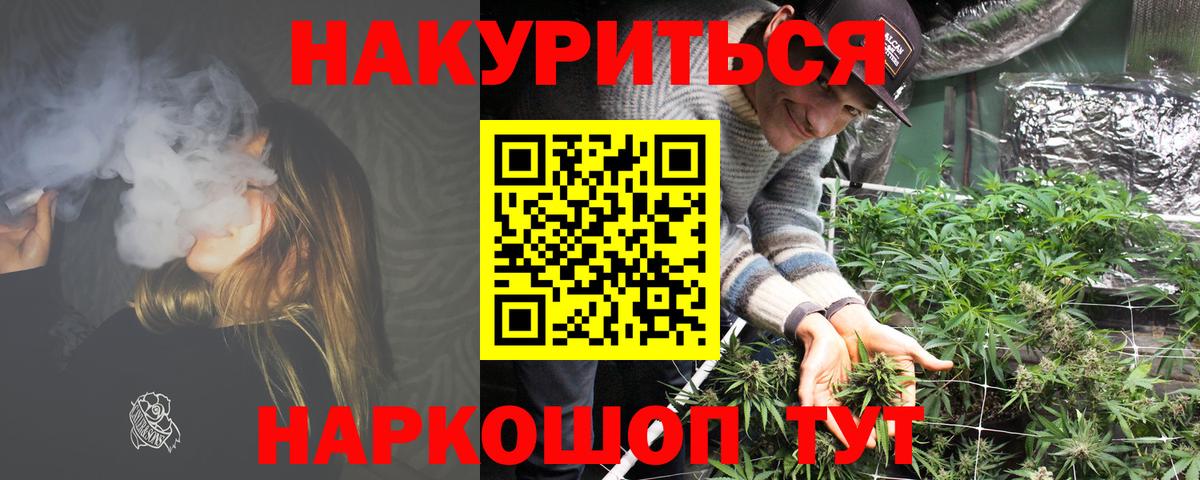 Шишки марихуана марихуана  Вход с VPN  Нефтекумск  Шишки марихуана план  Каннабис сатива  Конопля планчик 